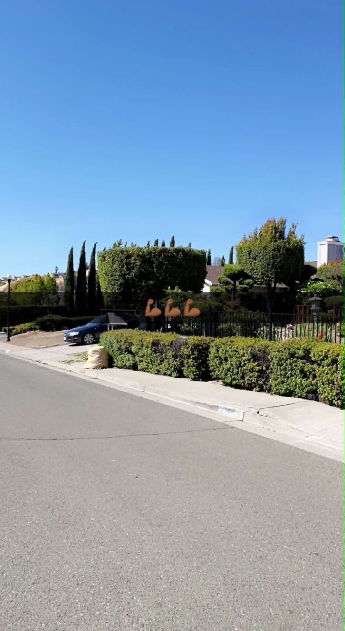 Tree and hedge trimming commercial property
