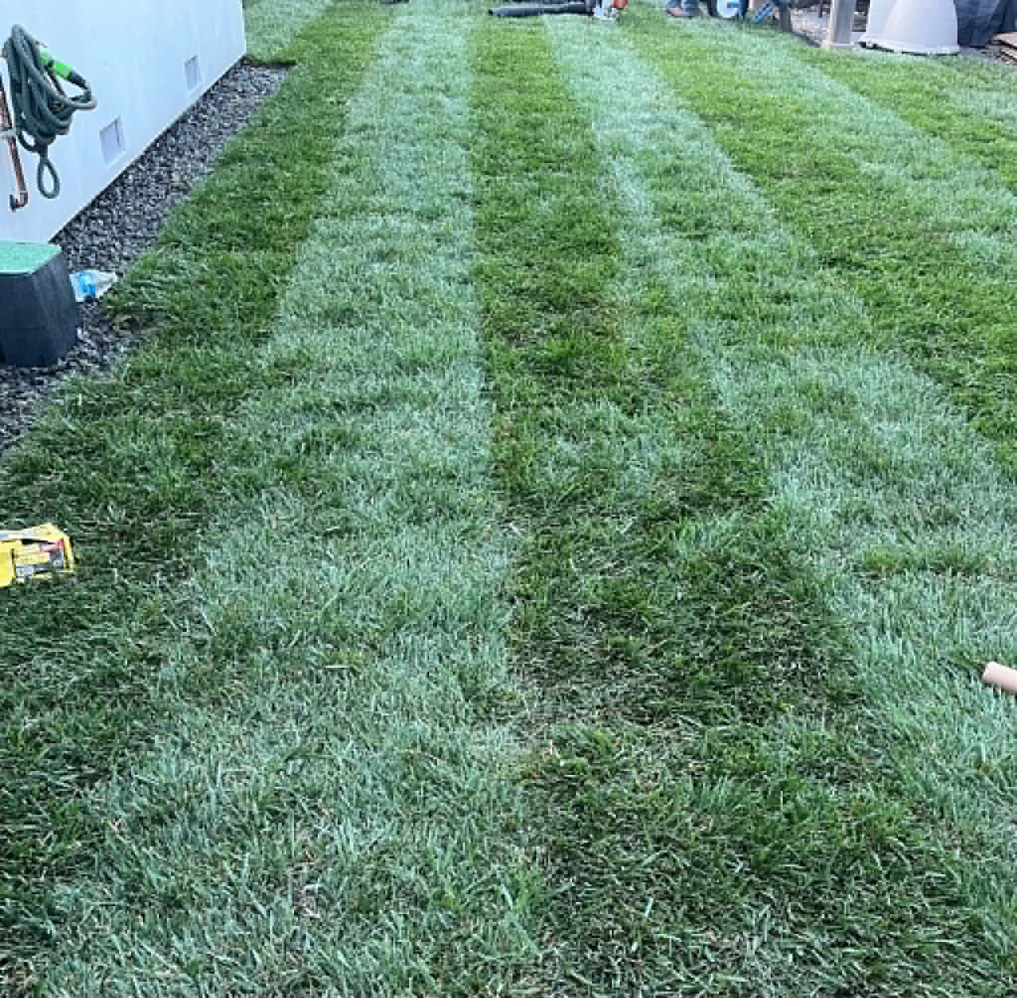 Fresh sod lawn installation